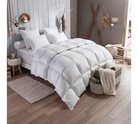 DODO - Couette Chaude Tradition 240x260 cm - Garnissage 90% Duvet d'oie Neuf Naturel - Anti-acariens - Enveloppe Percale de Coton Supérieure - Lit 2 Personnes - Piquage Carreaux