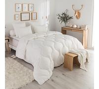DODO - Couette Légère Protection Active 200x200 cm - Garnissage Fibre Creuse Siliconée 175g/m² - Circulation de l'air - Anti-acariens - Enveloppe 100% Coton - Lit 2 Personnes