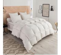 DODO - Couette Thermoduv CHAUDE - 90% Duvet d'Oie - 240 x 260 cm