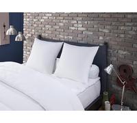 DODO Oreillers MERIBEL Plumettes 60x60 cm Lot de 2