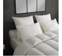 DODO - Lot de 2 Oreillers Micro Douceur Moelleux 60x60 cm - Enveloppe 100% Coton - Garnissage Synthétique en Polyester Fibre Creuse Siliconée - Lavable en Machine à 40°C