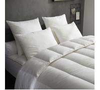 DODO - Lot de 2 Oreillers Top Soutien - Ferme - 60 x 60 cm