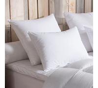 DODO - Oreiller 40x60 cm - Soutien Medium (Dos) - 90% Duvet d'oie Neuf Naturel - Confort Douillet - Anti-acariens - Enveloppe 100% Percale de Coton - Lavable 40°C