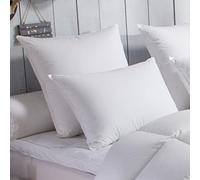 DODO - Oreiller 50x70 cm - Soutien Medium (Dos) - 70% Duvet d'oie Neuf Naturel - Gonflant & léger - Anti-acariens - Enveloppe 100% Percale de Coton - Lavable 40°C