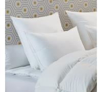 DODO - Oreiller 65x65 cm - Soutien Ferme (Côté) - 30% Duvet de Canard Proneem Naturel - Anti-acariens Proneem d'origine végétale - Enveloppe 100% Percale de Coton - Finition Passepoil Blanc