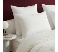 DODO - Oreiller DuvTouch 60x60 cm - Soutien Medium (Dos) - Microfibre Toucher Duvet - Doux Confort - Enveloppe 100% Percale de Coton - Lavable 40°C