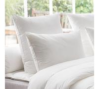 DODO - Oreiller Thermoduv 40x60 cm - Soutien Medium (Dos) - 70% Duvet d'oie Neuf Naturel - Confort Douillet - Anti-acariens - Enveloppe 100% Percale de Coton - Lavable 40°C