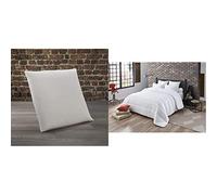 Dodo | Oreiller Végétal à Mémoire de Forme 60x60 | Maintien des Cervicales | Taie déhoussable et Lavable à 40°c & Couette Tempérée Anti-acariens Blanc 240 x 220 cm | pour lit 2 Personnes
