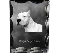 Dogo Argentino - cristal avec photo du chien, statuette en verre avec photo, cadre unique avec photo de la marque Art-Dog