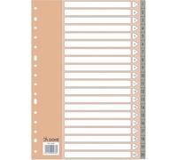 Dohe - Intercalaires classeurs 2 et 4 anneaux (20 unités) - Index format folio (22,7 x 31,5 cm), numérotés 1-20, plastique résistant 120 microns, 16 trous - Couleur grise