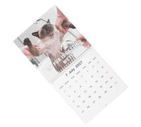 DOITOOL Calendrier Humoristique 2027 Chats Drôles Mural Mensuel | Planificateur 12 Mois, Indications des Fêtes, Reliure à Deux Fils, Décoration Maison et Bureau