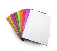 DOJA Barcelona | Cahier A4 Agrafé Page Blanche | Lot 10 | 48 Feuille Blanche 90g | Couverture Plastique | 6 Couleurs Aléatoires | 21x29,7mm | Cahier 96 Pages | Cahier de Brouillon, Carnet de Voyage