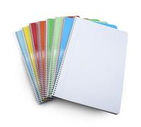 DOJA Barcelona | Cahier Spirale A4 | Couverture Souple | Lot Cahier 8 | 21x29,7cm | 80 Feuille Petit Carreaux A4 | Rayée 4x4mm | 10 couleurs aléatoires | Cahier A4 Spirale | pour Étudiants