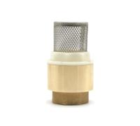 DOJA Barcelona | Clapet Anti Retour | Clapet Anti Retour avec Crepine | Filetage Interne 3/4" | Laiton | Clapet Pied | pour Pompe a Eau, Tuyau Arrosage, Recuperateur d Eau de Pluie, Robinet de Jardin