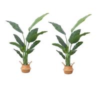 DOKKOME Lot de 2 grandes plantes artificielles - Oiseau de paradis - 160 cm - Plantes tropicales - Bananier en plastique - Décoration pour salon, bureau