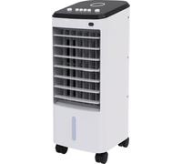 DOMAIR Rafraîchisseur d'air mobile KFC817 - 65 W Blanc