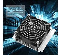 Domary Refroidisseur Thermoélectrique 12V, Plaque de Glace Peltier Haute Performance pour Mini Réfrigérateur, Refroidissement des Animaux Domestiques 72W 11.8x10cm