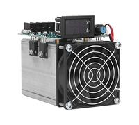 Domary Testeur de Courant de capacité Batterie, Taille Compacte, Module Décharge Stable pour Armoire Vieillissante et Adaptateurs 12V 250W