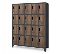 Domator Jan Nowak Casier Vestiaire 5B4A Armoire Metallique avec 20 Compartiments Revêtement en Poudre 172 cm x 136 cm x 45 cm (Aspect Bois Anthracite)