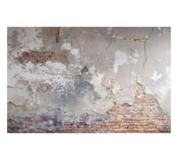 DOMEVISTA Papier Peint Mur Brique Rouge Enduit Beige Effet 500 x 280 cm | crépi fissuré ruine urbain industriel rétro patine ciment ancien atelier brut; Fabriqué en Allemagne; colle incluse.