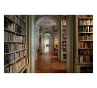 DOMEVISTA Papier Peint Photo Intissé Bibliothèque Livres Couloir 300x223 cm | Boiseries Arches Parquet Lecture Galerie Étagères Bois Baroque Arcades Voûtes Pierre Architecture Cloître XXL; colle incluse.