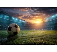 DOMEVISTA Papier Peint Photo Intissé Football Stade Ballon Sport 500x280 cm | Match Équipe Tournoi Supporters Terrain Soleil Dramatique Tribunes Fresque Panorama Tapisserie XXL; colle incluse.