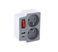 Domino 2x16A + USB-A/C + interrupteur - Gris/Blanc - Chacon
