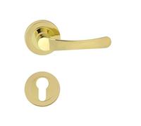 Domino NOVA-R M1 PZ Poignée de porte profilée | Rosace ronde | Poignée de porte pour porte de bureau, porte de cave et porte intérieure | Ferrures de porte en aluminium | Laiton brillant