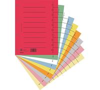 DONAU 8610001S-99 Lot de 100 intercalaires en carton recyclé 250 g/m² avec imprimé ligné pour format A4 4 perforations