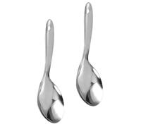 DONFAMDS Cuillère à Riz en Acier Inoxydable, Grande Cuillère de Service Inox, 2 Pièces, Argent, Légère, Pratique pour Servir à la Maison