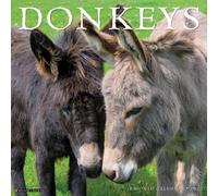 Donkeys 2027 Wall