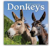 Donkeys - Esel 2027 - 16-Monatskalender: Original Gifted Stationery-Kalender [Mehrsprachig] [Kalender]