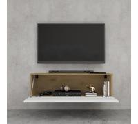 doporro Meuble TV Bas 100x40,2x30cm Armoire TV avec 1 Porte