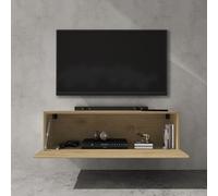 doporro Meuble TV Bas 100x40,2x30cm Armoire TV avec 1 Porte