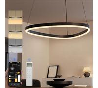doporro Suspension Luminaire LED Éclairage Suspendu Intérieur 15W Noir