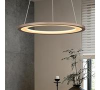 doporro Suspension Luminaire LED Éclairage Suspendu Intérieur 20W Or