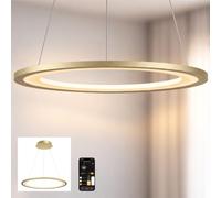 doporro Suspension Luminaire LED Éclairage Suspendu Intérieur 30W Doré