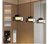 doporro Suspension Luminaire LED Éclairage Suspendu Intérieur 12W Noir | Dimmable, 3000K-6000K, Lustre, Réglable, avec Télécommande, Salon, Chambre, Salle à Manger, Alivetta7915