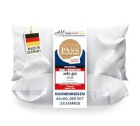 DormiGood - Oreiller 40x80 Lot de 2 - Duvet et Plumes de Haute qualité - 100% Naturel - Coussin 40 x 80 Doux - Deux oreillers épais à Trois Chambres - Pack de Deux - L'enveloppe en Coton 40 x80