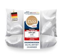 DormiGood - Oreiller 45x70 Lot de 2 - Duvet et Plumes de Haute qualité - 100% Naturel - Coussin 45 x 70 Doux - Deux oreillers épais à Trois Chambres - Pack de Deux - L'enveloppe en Coton 45 x70