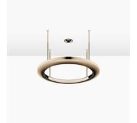 Dornbracht AQUAHALO Panneau de pluie, 41750979-47, Couleur: Champagne