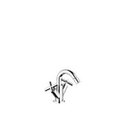 Dornbracht Bidet Dornbracht 2 poignées Tara . 2451089200 chromé, poignée croisée, avec vidage