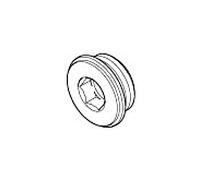 Dornbracht Bouchon pour extrémité de tuyau 2000 / 801 -14NPT 0431200621090 brut