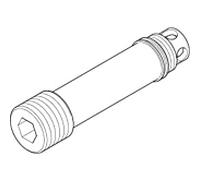 Dornbracht Bouchon pour extrémité de tuyau ,EHM-WFB-UP 09312004590 brut