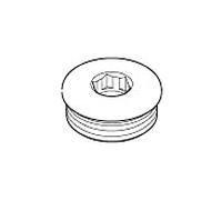 Dornbracht Bouchon pour extrémité de tuyau G 3/4 09312000390 210 x 70 x 20_chrome