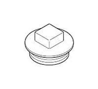 Dornbracht Bouchon pour extrémité de tuyau G 3/4 09312000490 chromé