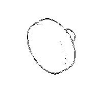 Dornbracht miroir vis 12 mm - 2000 083030520-00 chromé