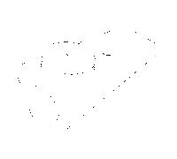 Dornbracht sortie Bidet 091173003-47 champagne