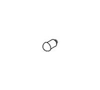 Dornbracht stop pomme de douche avec ressort 0424020230090