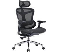 SIHOO Doro C300 Chaise de Bureau Ergonomique avec Soutien Lombaire Dynamique Accoudoirs et Dossier Réglables 3D Noir